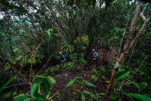 BIB: 
                            <button type="button" onclick="openModal(26196430)" class="btn btn-primary btn-sm float-right btn-popup" data-toggle="modal" data-target=".modal-high-quality">
                        <i class="fas fa-shopping-cart"></i> Add to Cart
                    </button>
                                            <button type="button" onclick="isThisMe(26196430, true)" class="btn btn-success btn-sm float-right btn-popup btn-isme hidden" data-toggle="tooltip" data-placement="bottom" title="นี่คือรูปของคุณใช่ไหม คลิกที่นี่เพื่อเอาเข้าอัลบั้ม">
                        <i class="fas fa-plus"></i> Add to album
                    </button>
                    <button type="button" onclick="isThisMe(26196430, false)" class="btn btn-warning btn-sm float-right btn-popup btn-isnotme hidden">
                        <i class="fas fa-ban"></i> Remove from album
                    </button>